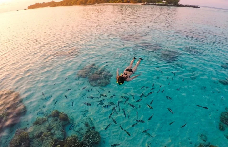 Blue Bay Marine Park Snorkeling