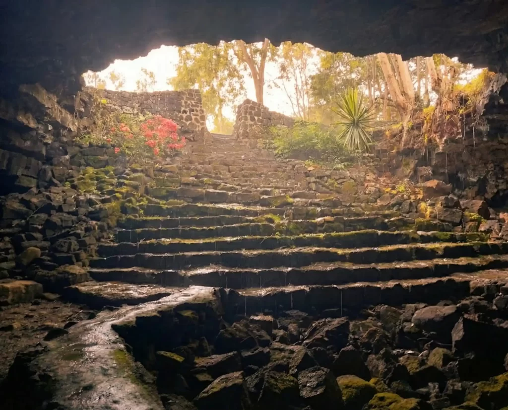 Roches Noires Lava Tubes